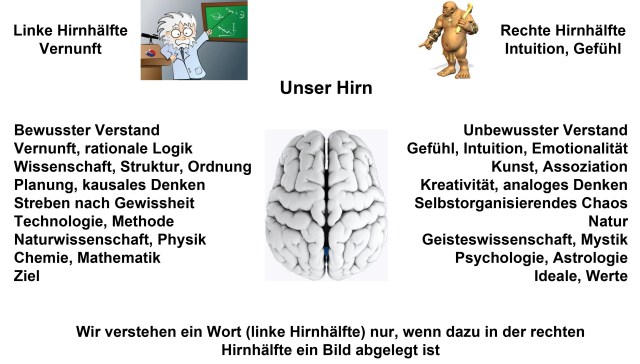 Unser Hirn